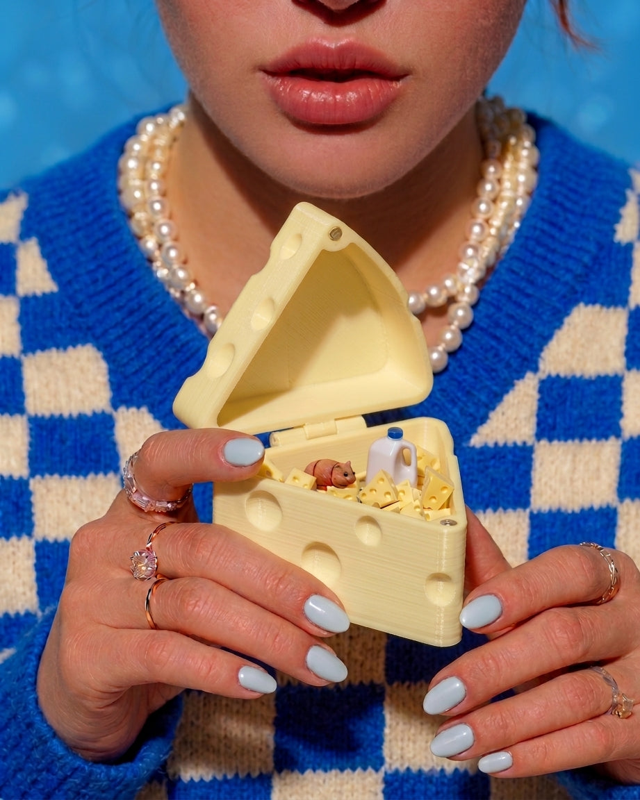 HIDE & SEEK (Cheese Edition)