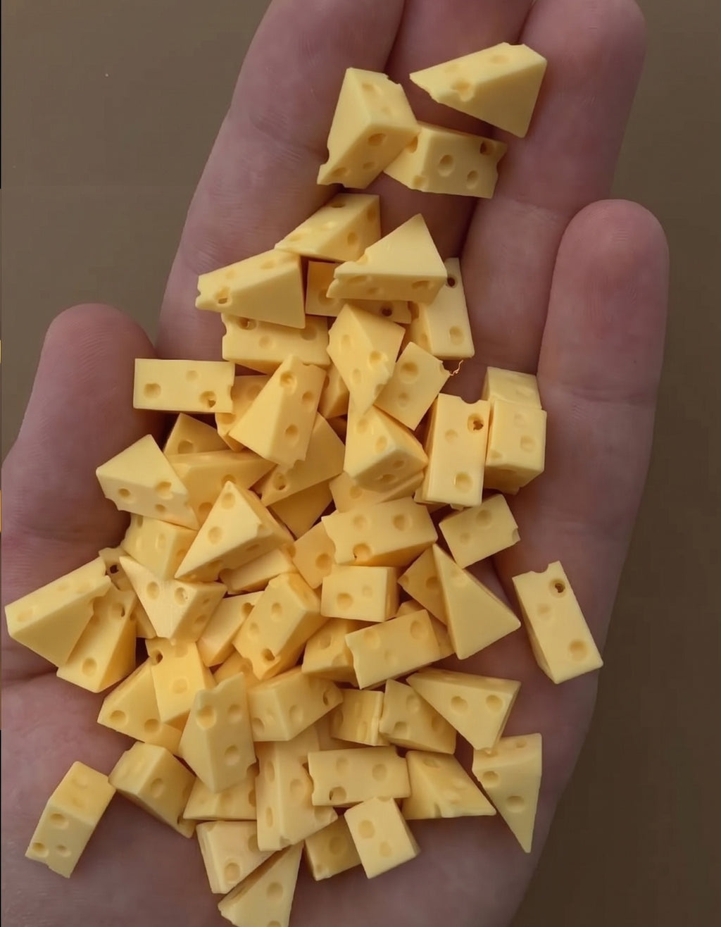 HIDE & SEEK (Cheese Edition)