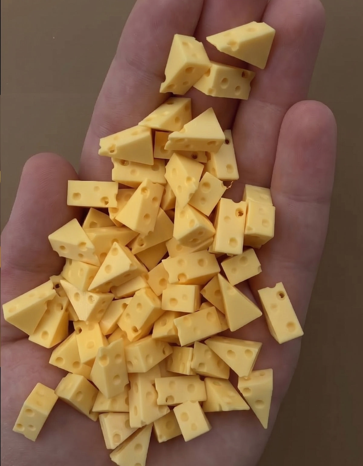 HIDE & SEEK (Cheese Edition)